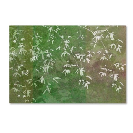 Trademark Fine Art
